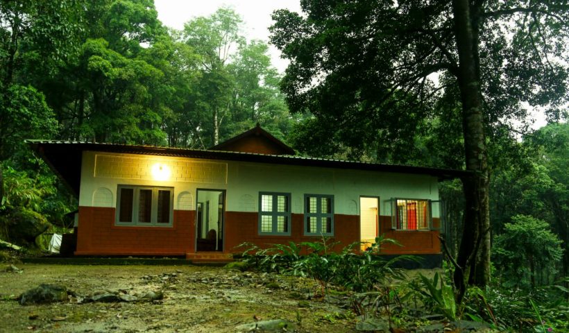 deep forest stay
