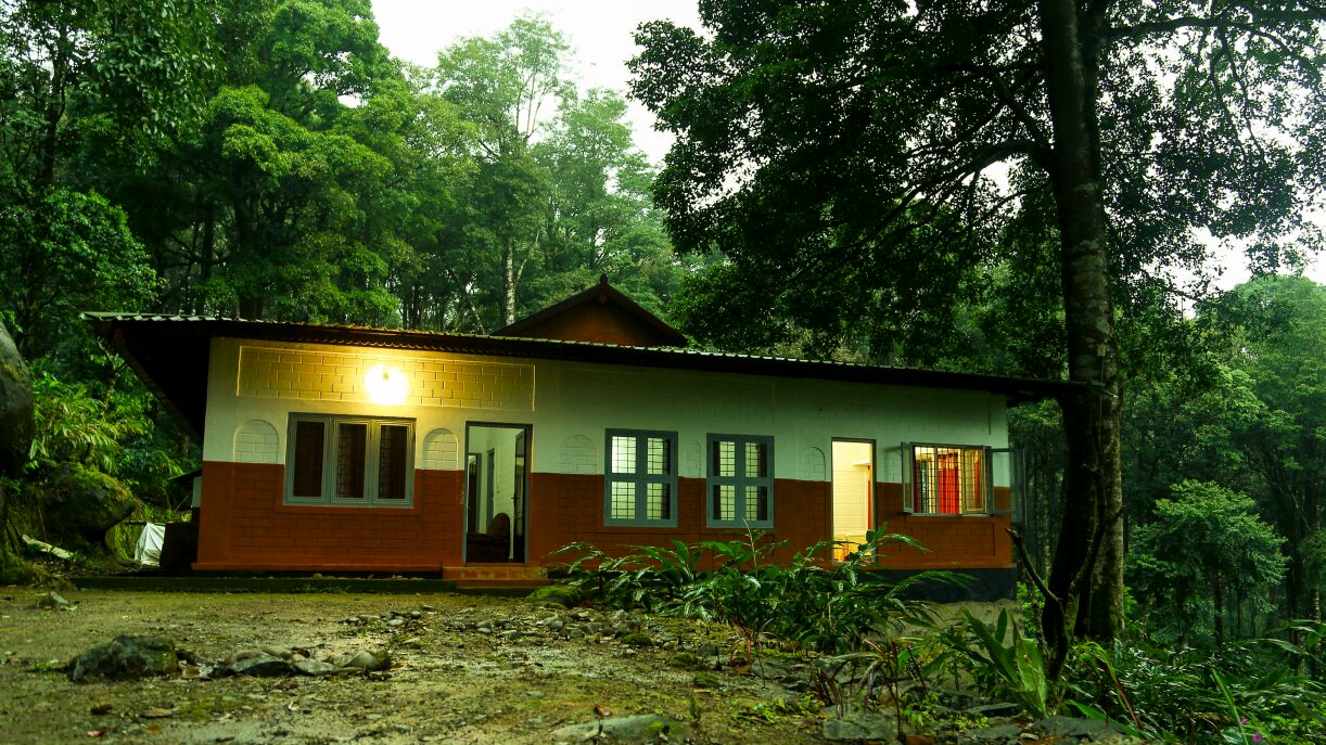 deep forest stay