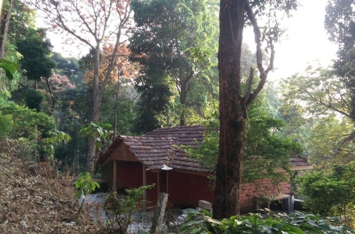 Alfa resort vythiri