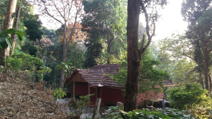 Alfa resort vythiri