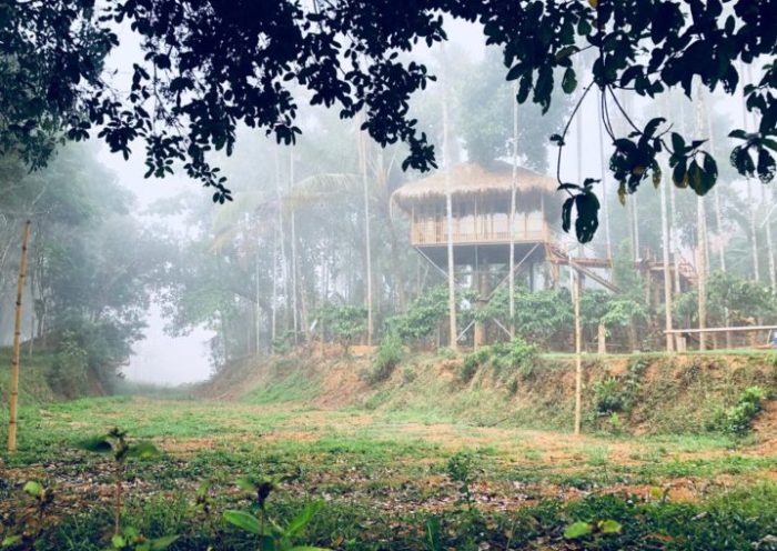 Hut Near Banasura