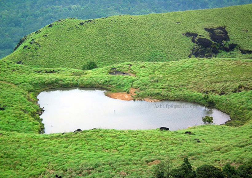 chembra peak
